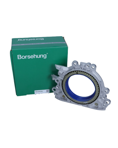 BORSEHUNG SIMERING WAŁU VW GOLF 1,2TSI 16V 13-