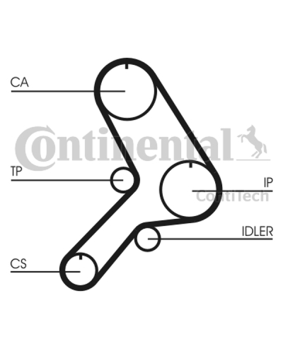 CONTITECH ZESTAW ROZRZĄDU FIAT 1,9TD