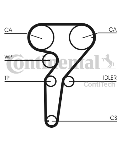 CONTITECH ZESTAW ROZRZĄDU FIAT 2,4