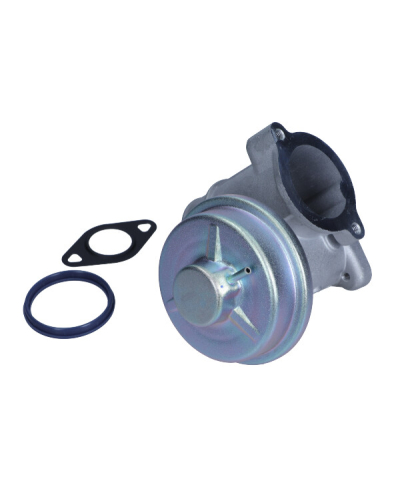 MAGNETI MARELLI ZAWÓR EGR FORD