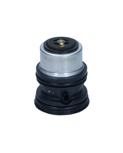 OE VAG TERMOSTAT PORSCHE PANAMERA 4,8