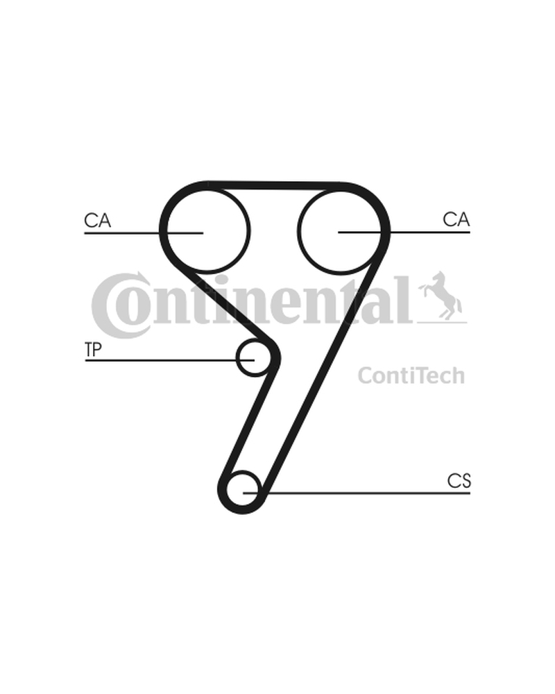 CONTITECH ZESTAW ROZRZĄDU FORD FIESTA 1,2 16V 1,4/1,6TI