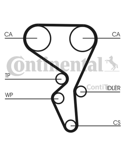 CONTITECH ZESTAW ROZRZĄDU CITROEN 1,6 16V