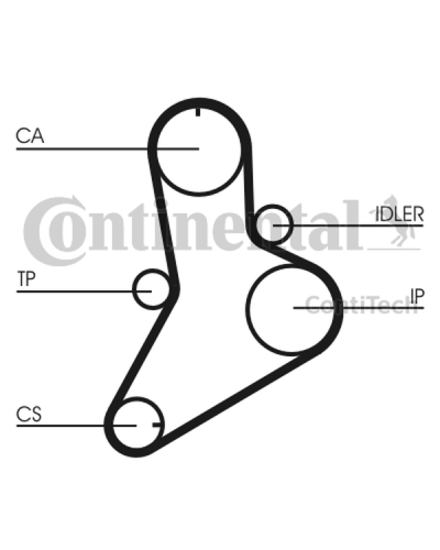 CONTITECH ZESTAW ROZRZĄDU FIAT 2,5TD