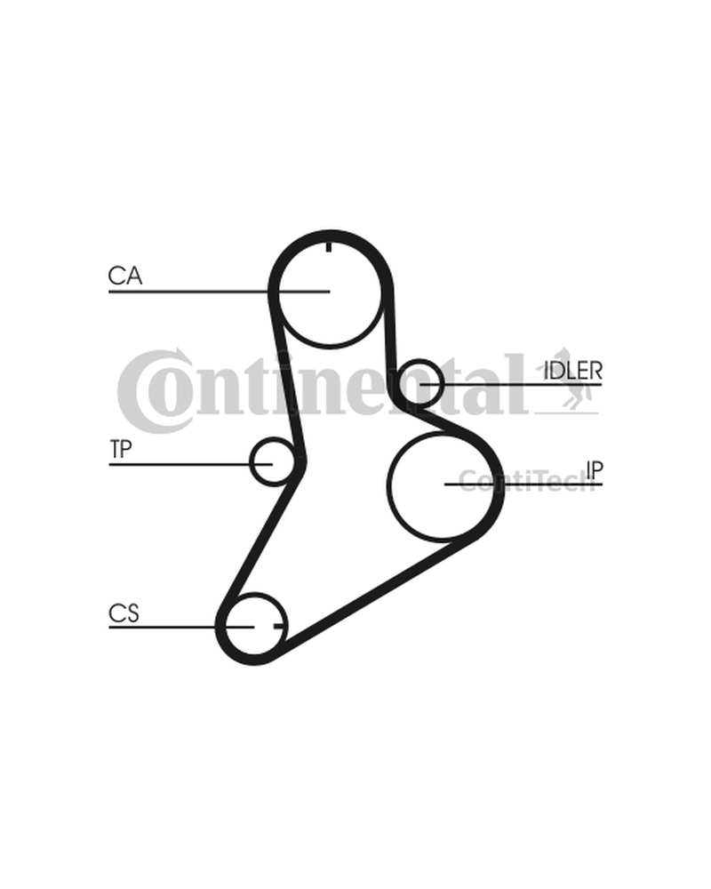 CONTITECH ZESTAW ROZRZĄDU FIAT 2,5TD