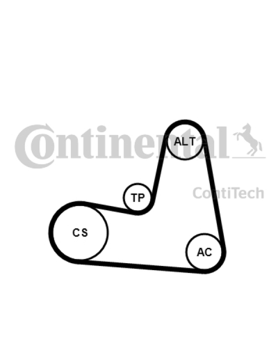 CONTITECH ZESTAW PASKA WIELOROWKOWEGO RENAULT 1,9DCI
