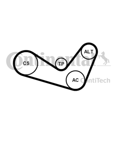 CONTITECH ZESTAW PASKA WIELOROWKOWEGO VW 1,9TDI/2,0TDI
