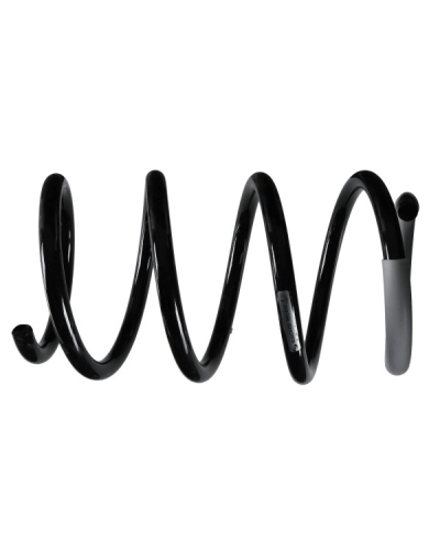 SACHS SPRĘŻYNA ZAW. RENAULT P. LAGUNA COUPE (DT0/1) 2.0 DCI (DT01, DT08, DT09, DT0K, DT12, DT1C, DT1D, DT1M,... 08-15