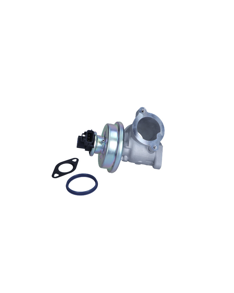 MAGNETI MARELLI ZAWÓR EGR FORD