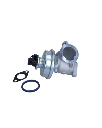 MAGNETI MARELLI ZAWÓR EGR FORD