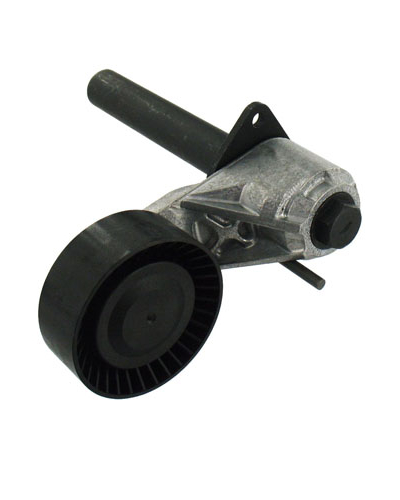 SKF NAPINACZ PASKA WIELOROWKOWEGO BMW M57 X5/X6