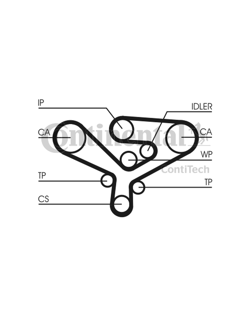 CONTITECH PASEK ROZRZĄDU VW 3,3TDI A8