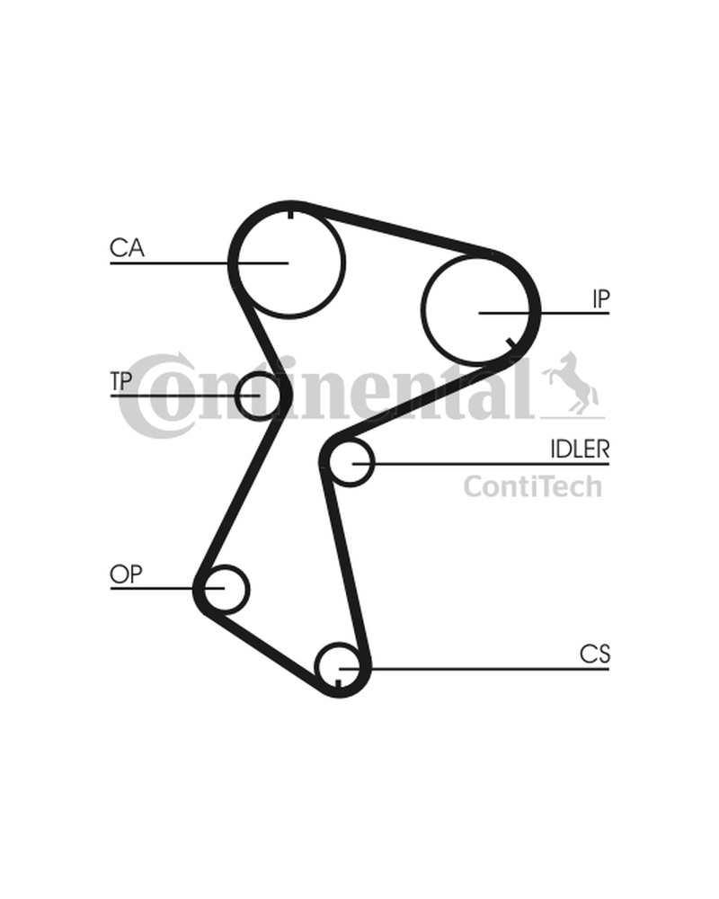 CONTITECH ZESTAW ROZRZĄDU RENAULT 1,6