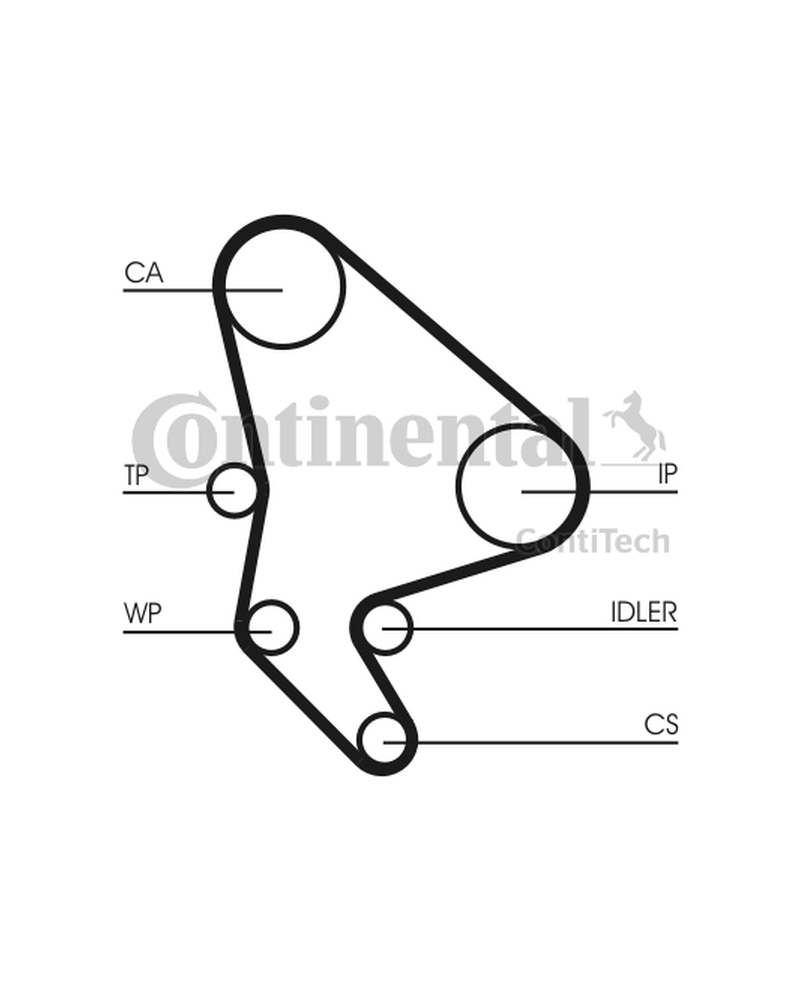 CONTITECH ZESTAW ROZRZĄDU PEUGEOT 2,2HDI