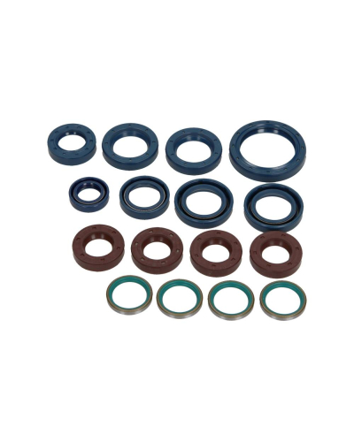 CENTAURO SRL ZESTAW USZCZELNIACZY OLEJOWYCH SILNIKA KPL. MOTO. DUCATI 916 MONSTER S4 2001-2002 (17EL.)