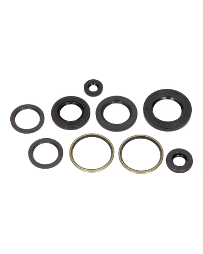 CENTAURO SRL ZESTAW USZCZELNIACZY OLEJOWYCH SILNIKA KPL. MOTO. APRILIA LEONARDO  250 1999-2004 (9EL.)