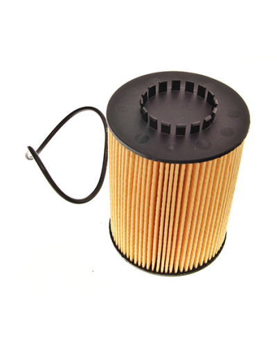 BOSCH FILTR OLEJU PORSCHE CAYENNE, SKODA SUPERB II, VW TOUAREG, PASSAT B7 11.08-